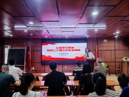 深圳市怡景小学党支部召开党支部大会