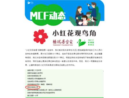 深圳市梧桐小学成功申报红树林基金会及腾讯基金会的“小红花观鸟角”