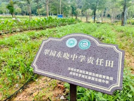从课本到田埂——翠园东晓中学在翠园文体公园展开学生劳动研学实践活动