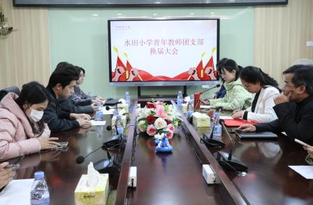 凝聚新力量，赓续新征程——水田小学青年教师团支部换届选举大会顺利举行