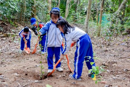 快乐游学，探索艺术与自然之美 ——深圳市泰宁小学1-3年级学生开展春季社会实践活动