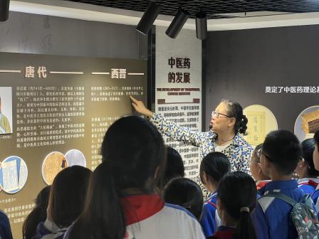 洪湖小学“每周半天计划”：探秘中医药文化馆，开启非遗传承与现代科技的交融之旅