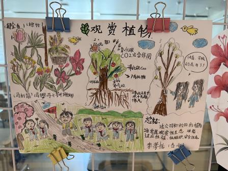 春雨润童心 绿意满银湖 ——春雨团队开展“每周半天计划”之银湖郊野公园植物观察实践活动