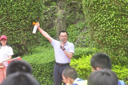 明珠小学微型马拉松大作战，一到六年级齐上阵