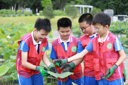 洪湖小学“创意表达公园之美”课程落地：真实情境+跨学科融合，开启美育实践新样态
