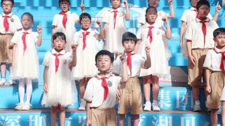 花开无毒季，童享新天地 ——湖贝小学开展禁毒主题教育