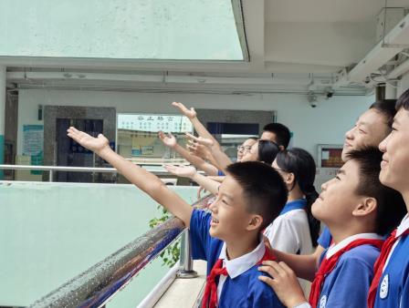 风雨即教材，新闻即课堂：罗外实验“生活·实践”教育在台风天落地生根