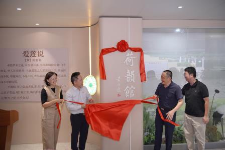 育人空间焕新！洪湖小学荷韵馆正式亮相，多学科联动打造“荷美教育”新阵地