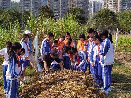 以劳启智，以研促学 ——翠竹外国语实验学校“金秋读蔬荟”每周半天实践研学