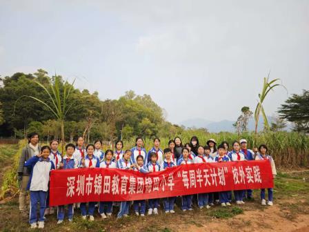 耕读田间，“蔬”香启智——锦田教育集团赴翠湖研学基地开展“金秋读蔬荟” 实践活动
