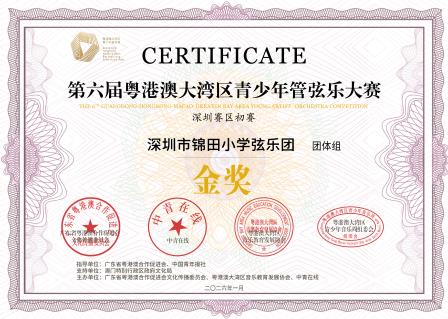 锦田小学弦乐团斩获大湾区音乐赛事深圳赛区金奖