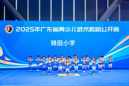侠气少年展风采，武韵风华绽荣光——锦田小学武术队斩获省赛桂冠