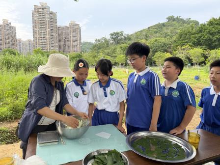落实每周半天实践计划，春生农耕育见成长——洪湖小学“知行四季”春季实践课程圆满收官