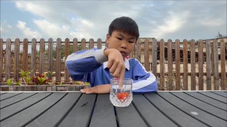 当科学遇上想象：梧桐小学师生共赴科普之约