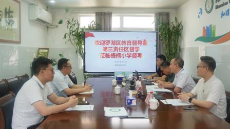 督导回看促规范，健康护航助成长 ——梧桐小学迎接罗湖区第三责任区教育领域不当牟利及促进学生健康成长专项督导